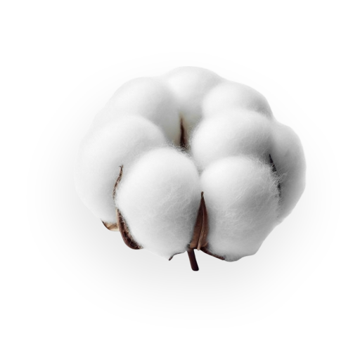 Cotton 1